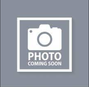 Lions International – Vision